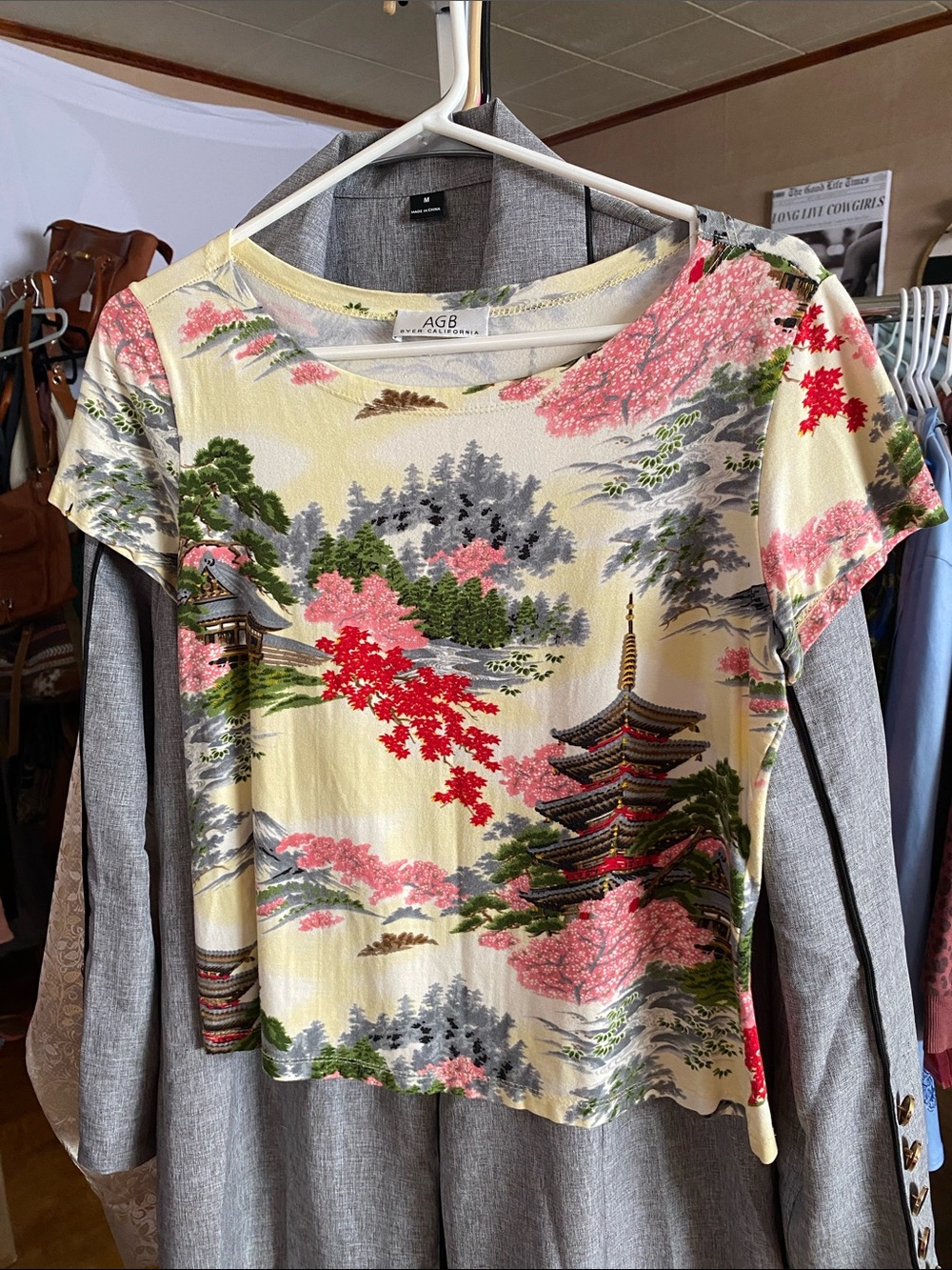 AGB Scenic Pagoda Short Sleeve Top in Cream, Pink & Green